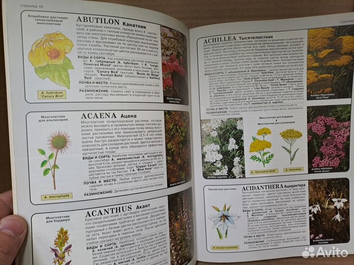 Хессайон Все о Цветах в вашем Саду 2004