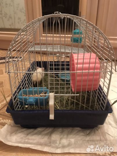 Клетка для грызунов