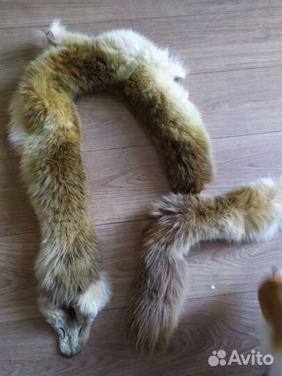 Меховой воротник лиса