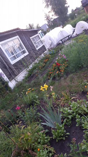 Дом 40 м² на участке 7 сот.