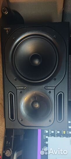 Студийные мониторы behringer B2031P