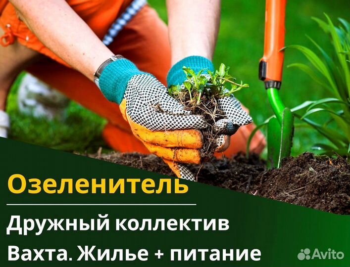 Вахта 60/30 Жильё питание / Озеленитель