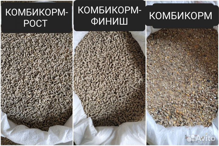 Корма для птиц и животных, доставка бесплатно