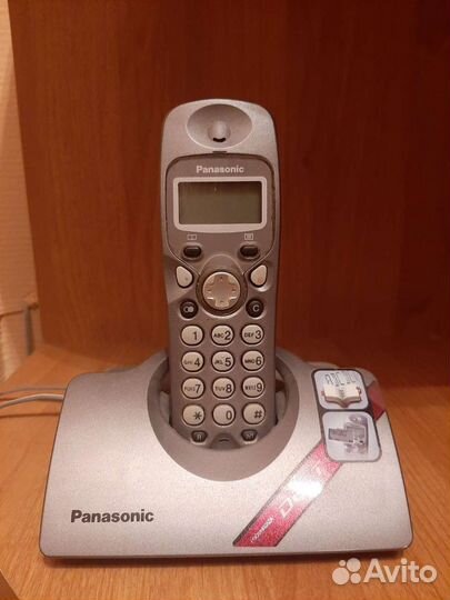 Panasonic