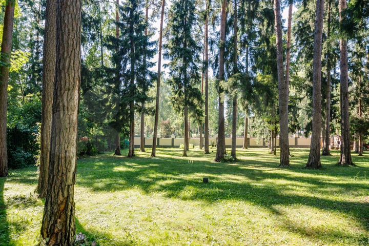 Участок 26 сот. (ИЖС)