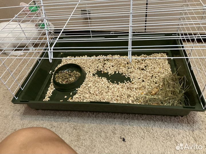 Клетка для кролика