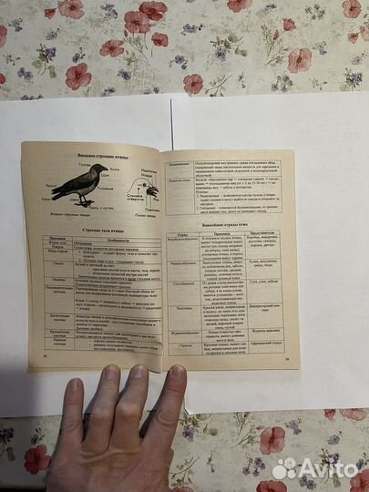 Биология в таблицах, схемах