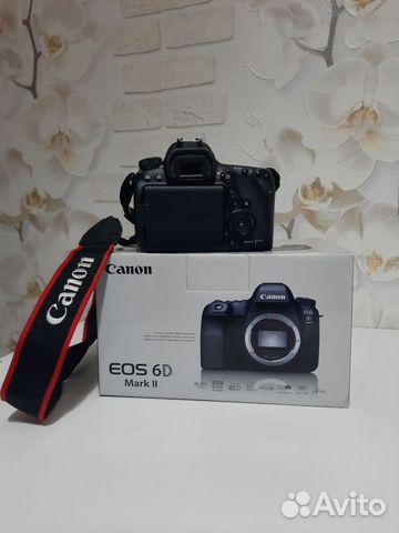Canon EOS 6D Mark II купить в Санкт-Петербурге | Электроника | Авито