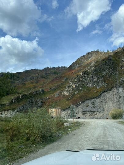 Продам бычки и телки 2023года