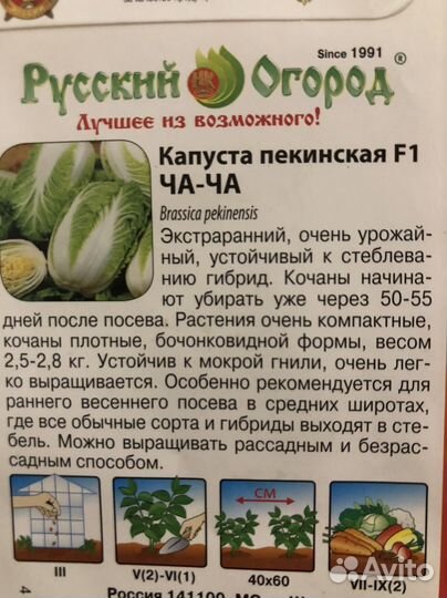 Пекинская капуста