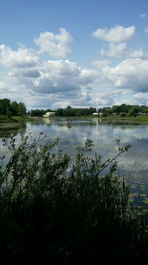 Участок 33 сот. (ИЖС)