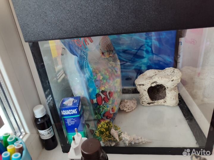 Аквариум