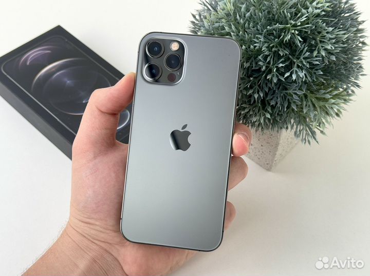 iPhone 12 Pro, 256 ГБ