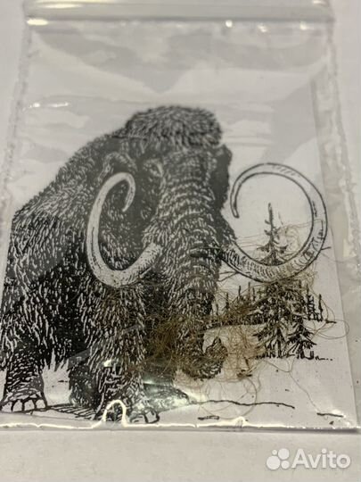 Шерсть мамонта