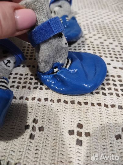 Непромокаемые ботиночки для собаки