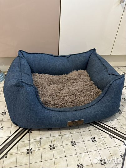 Той-терьер мини