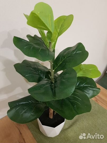 Искусственные цветы в горшке. Искусственный фикус