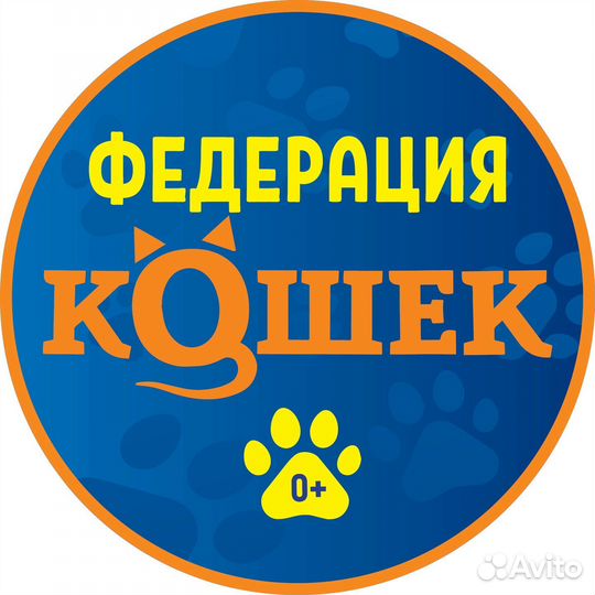 Сотрудник по уходу за кошками