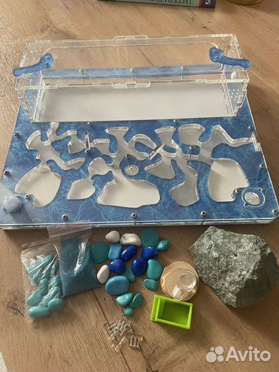 Муравьиная ферма