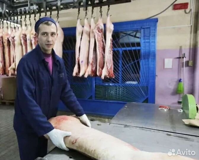 Разнорабочий на завод мясоперерабатывающий Вахта
