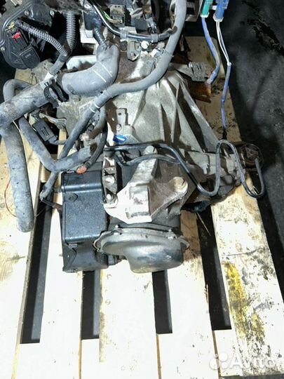 МКПП Ford Focus hxda