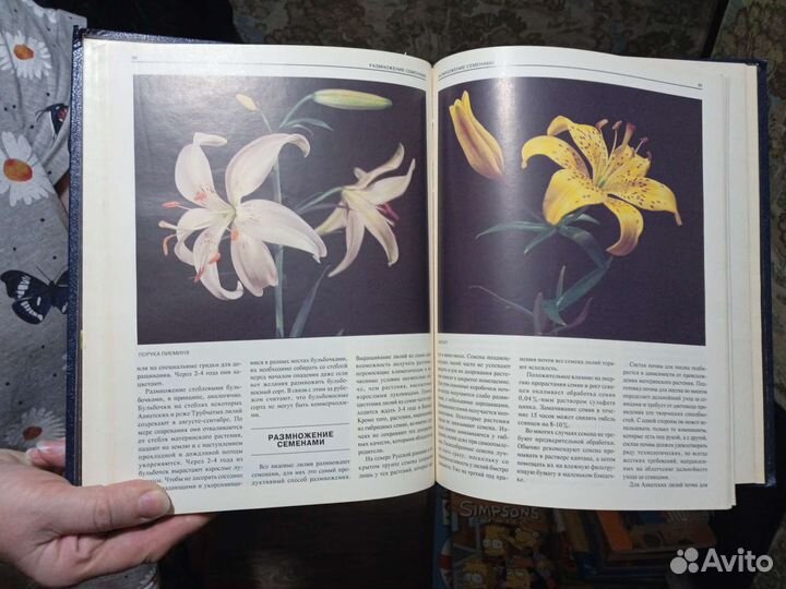 Книга Лилии издательства Хоббикнига