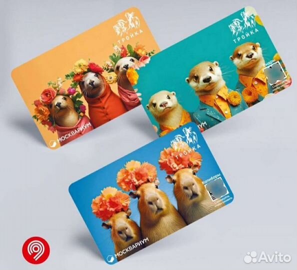 Карта тройка три капибары (москвариум)