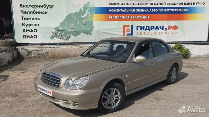 Проводка двери задней правой Hyundai Sonata (EF) 9