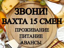 Упаковщик сыра вахта 15 15 с проживанием и питание