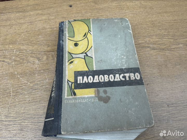 Плодоводство книга 1962 год