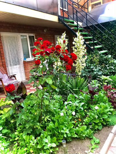 Комната 12 м², 1/1 эт.