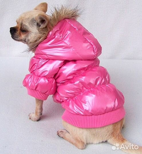 Дождевики куртки для мелких собак