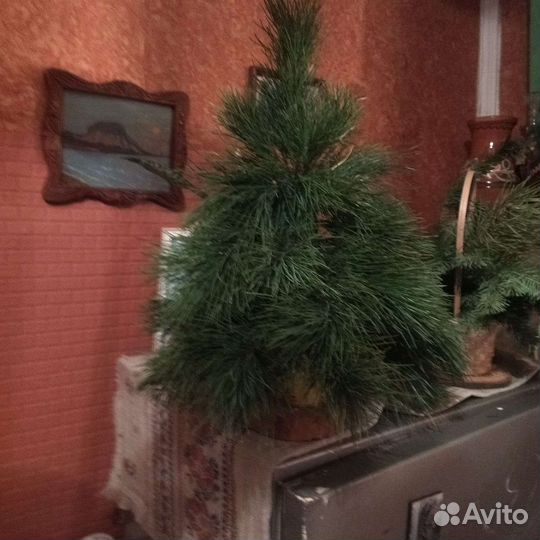 Елка ручная работа пихтовые ветки, оазис