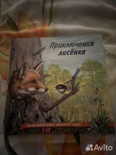 Познаем мир вокруг нас