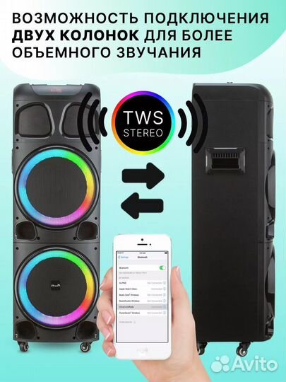 Колонка eltronic 20-72, 1300 Ватт