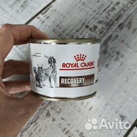 Описание Royal Canin RECOVERY (РЕКАВЕРИ) лечебный влажный корм для собак и кошек