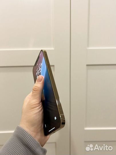 iPhone 12 Pro Max, 256 ГБ