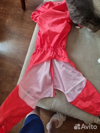 Дождевик для крупной собаки