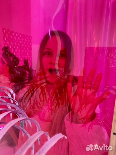 Телеграм, консультация, обучение закуп рекламы