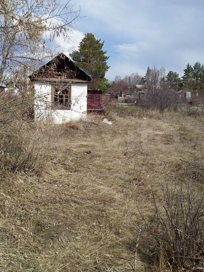 Участок 6 сот. (СНТ, ДНП)