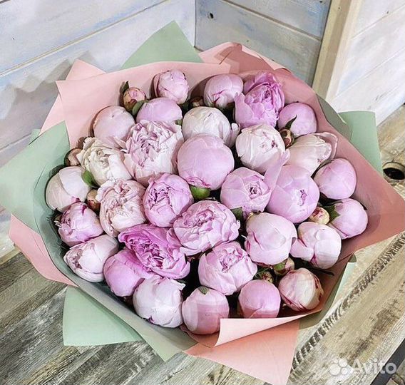 25 пионов букет с доставкой по спб