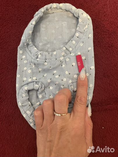 Одежда доя собак