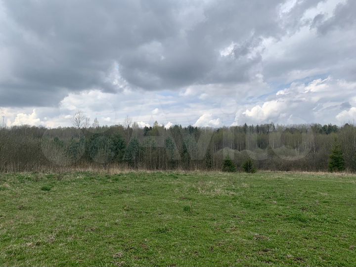 Участок 1,1 га (ИЖС)