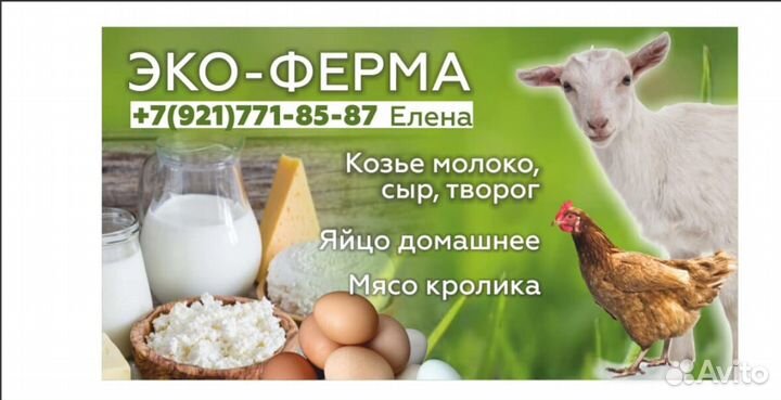 Домашнее яйцо, козье молоко, творог, овощи