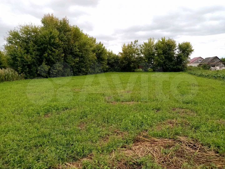 Участок 25 сот. (ИЖС)