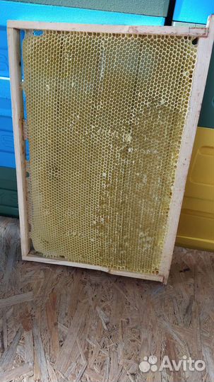 Сушь пчелиная, рамки с сушью