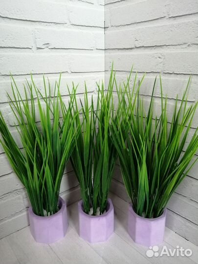 Набор из гипса