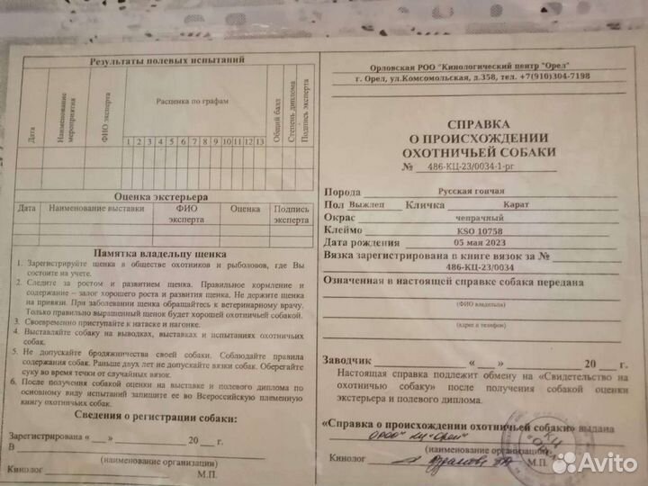 Собаки щенки