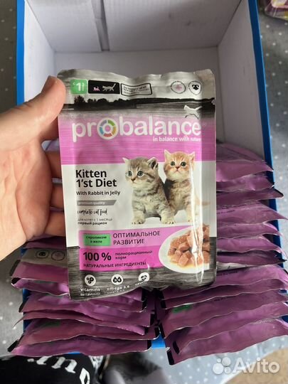 Корм для котят probalance 24шт