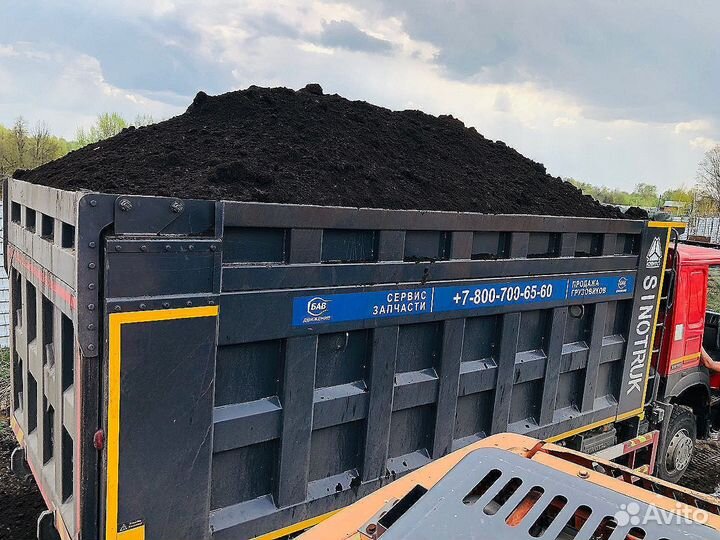 Низинный торф